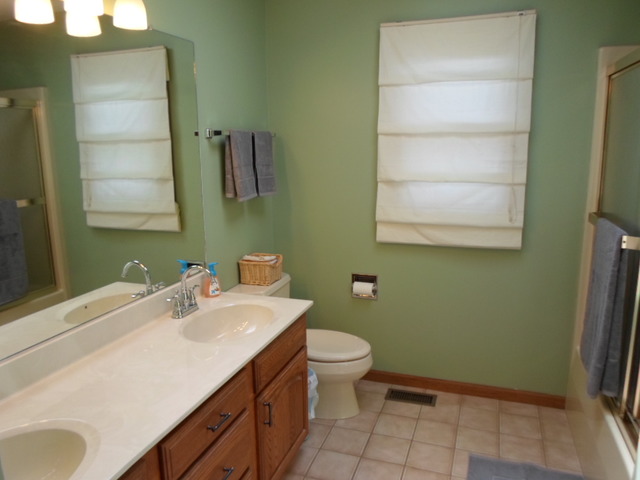 970 Stonehaven Drive Elgin, IL 60124 - Photo 18 of 23