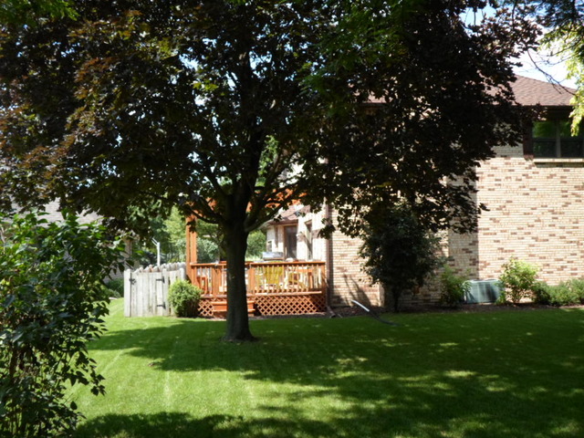 970 Stonehaven Drive Elgin, IL 60124 - Photo 21 of 23