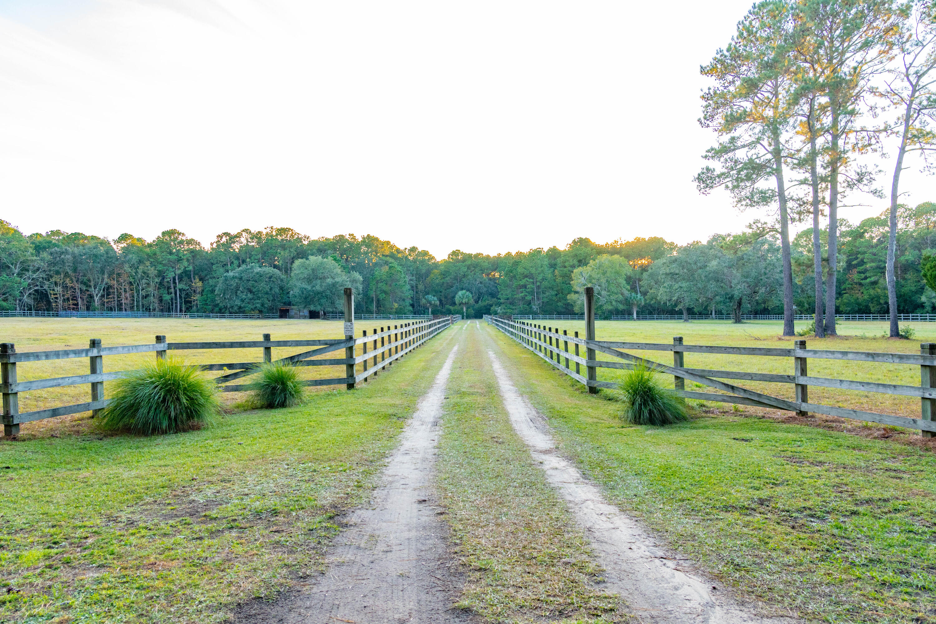 4169 Longmarsh Road Mount Pleasant, SC 29429 - Photo 85 of 98 Amenities 8