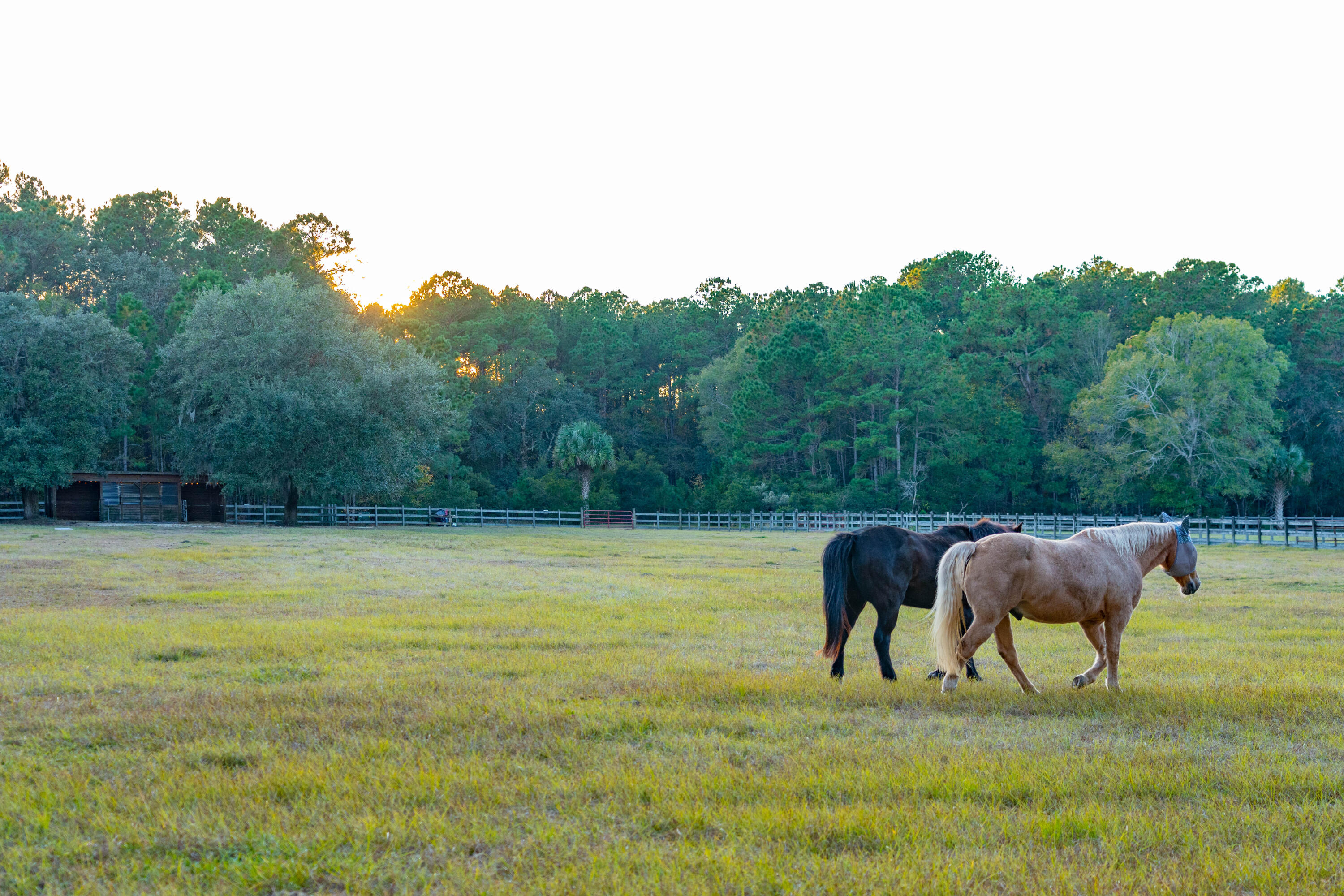 4169 Longmarsh Road Mount Pleasant, SC 29429 - Photo 87 of 98 Amenities 10
