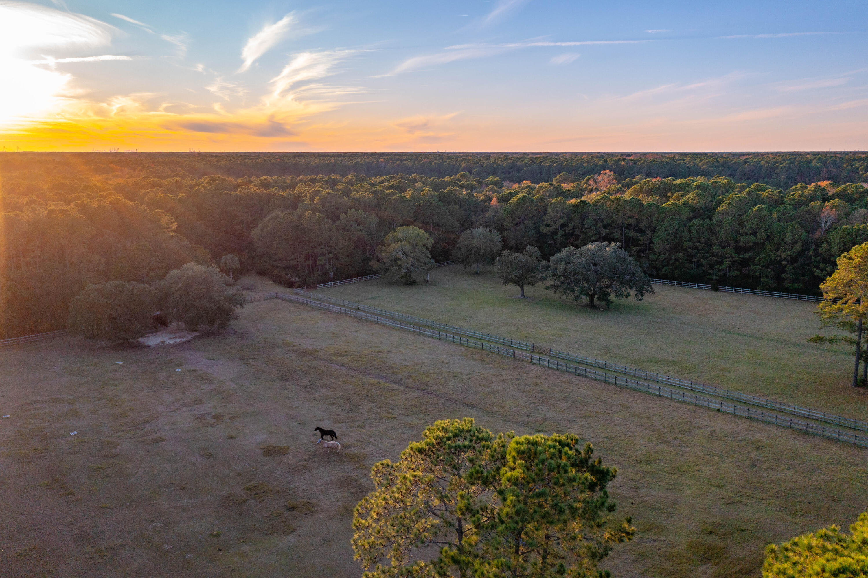 4169 Longmarsh Road Mount Pleasant, SC 29429 - Photo 88 of 98 Amenities 11