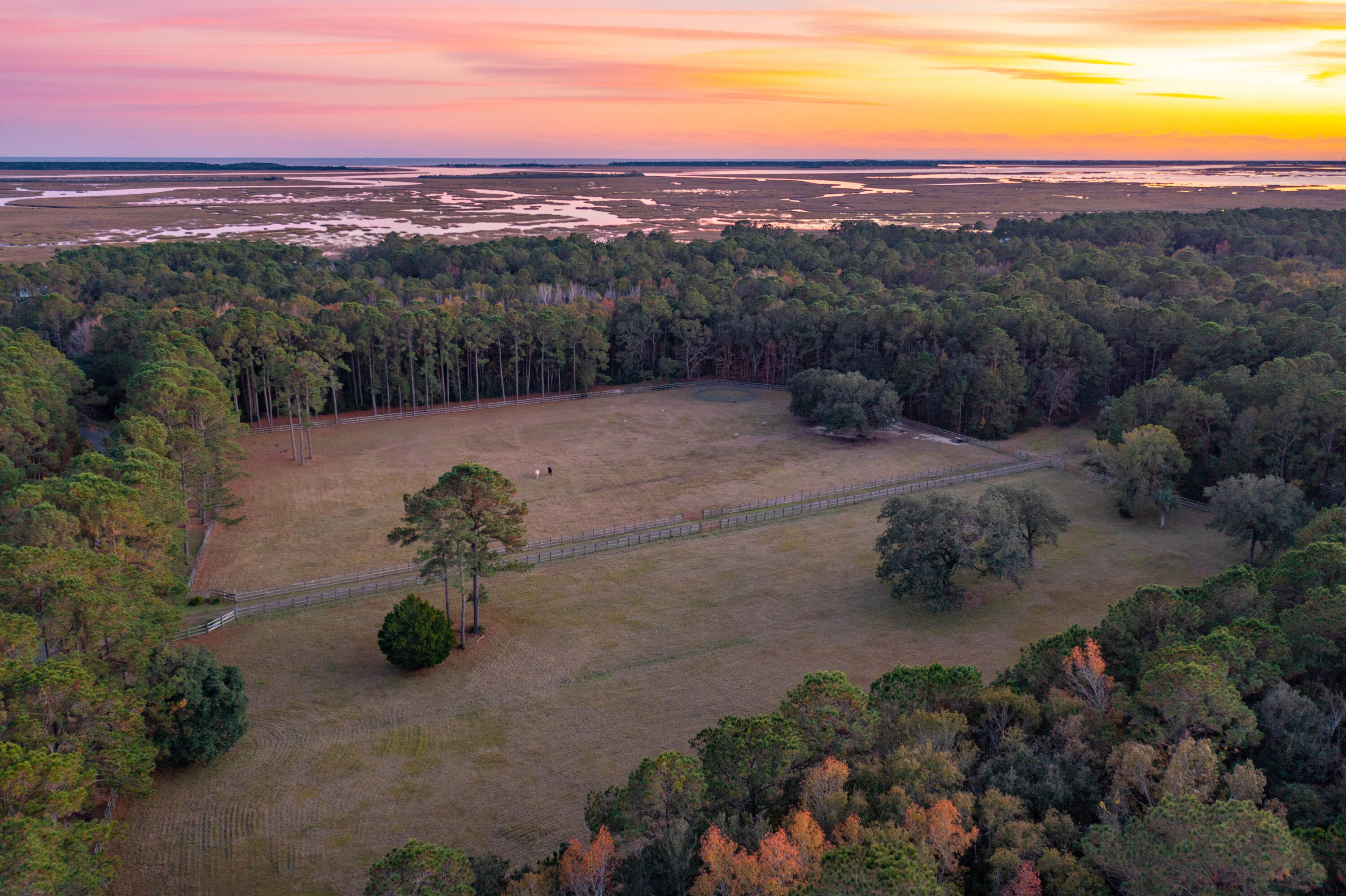 4169 Longmarsh Road Mount Pleasant, SC 29429 - Photo 89 of 98 Amenities 12