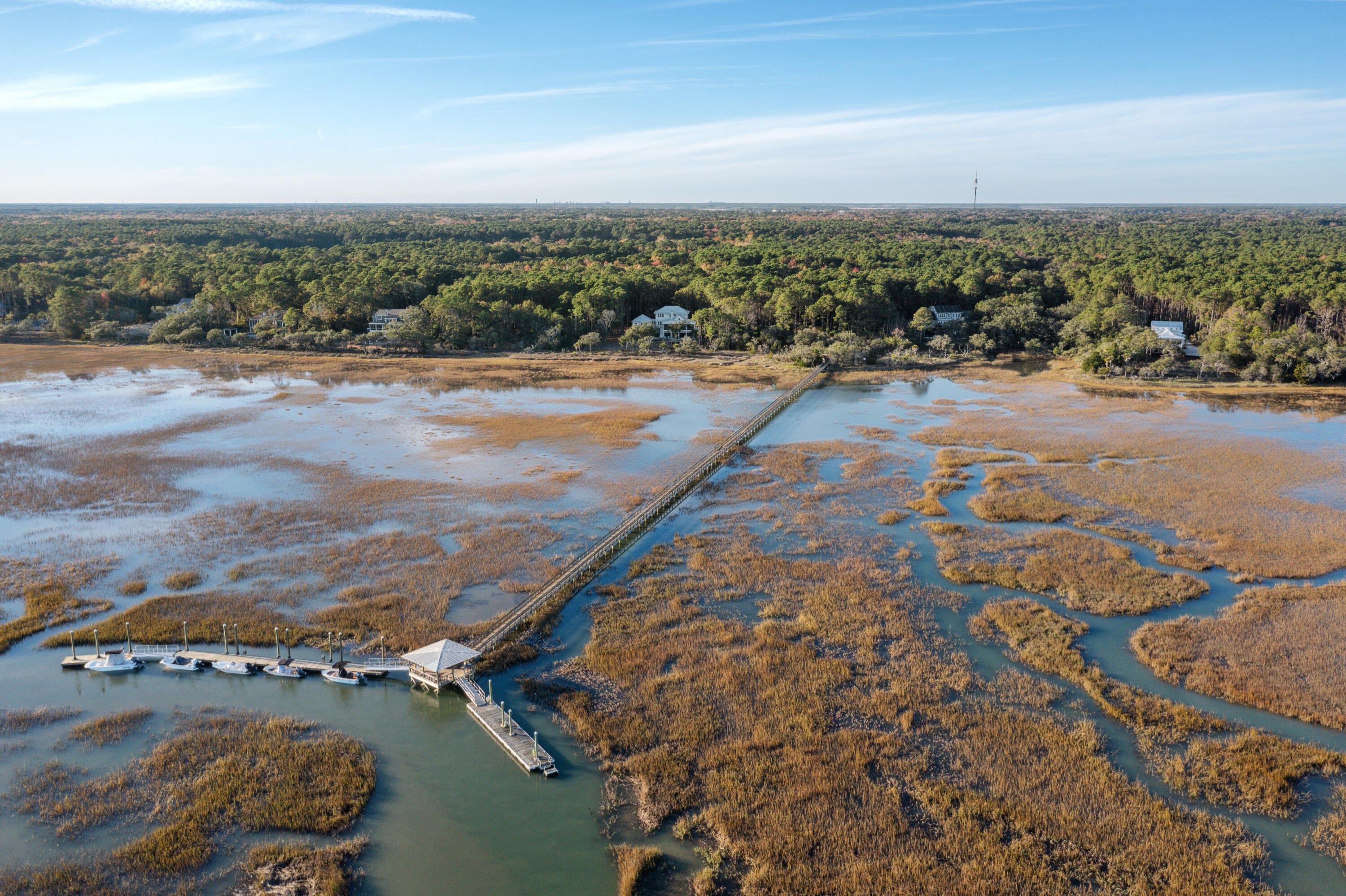 4169 Longmarsh Road Mount Pleasant, SC 29429 - Photo 92 of 98 Amenities 15