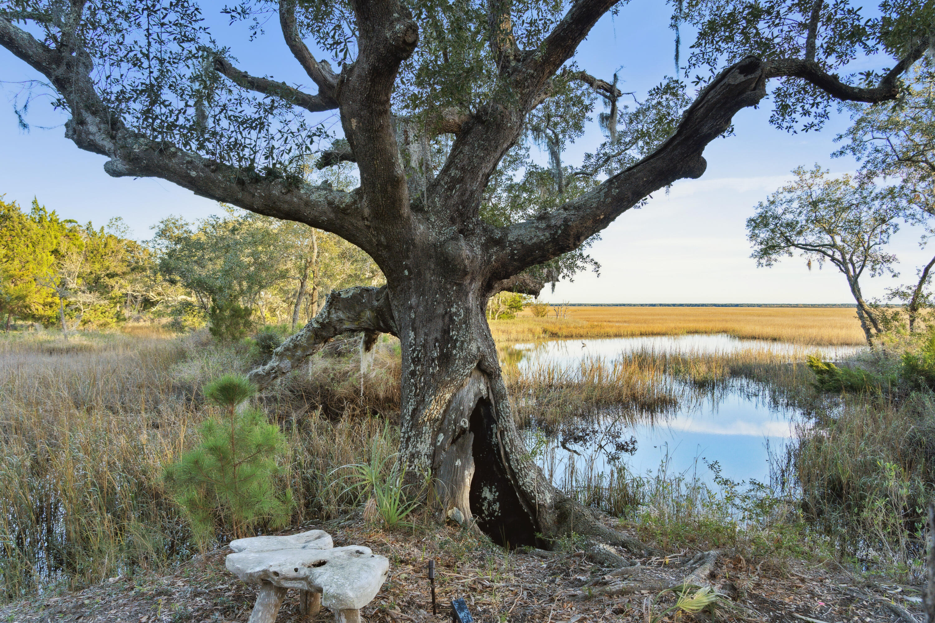 4169 Longmarsh Road Mount Pleasant, SC 29429 - Photo 96 of 98 Sewee Preserve 2
