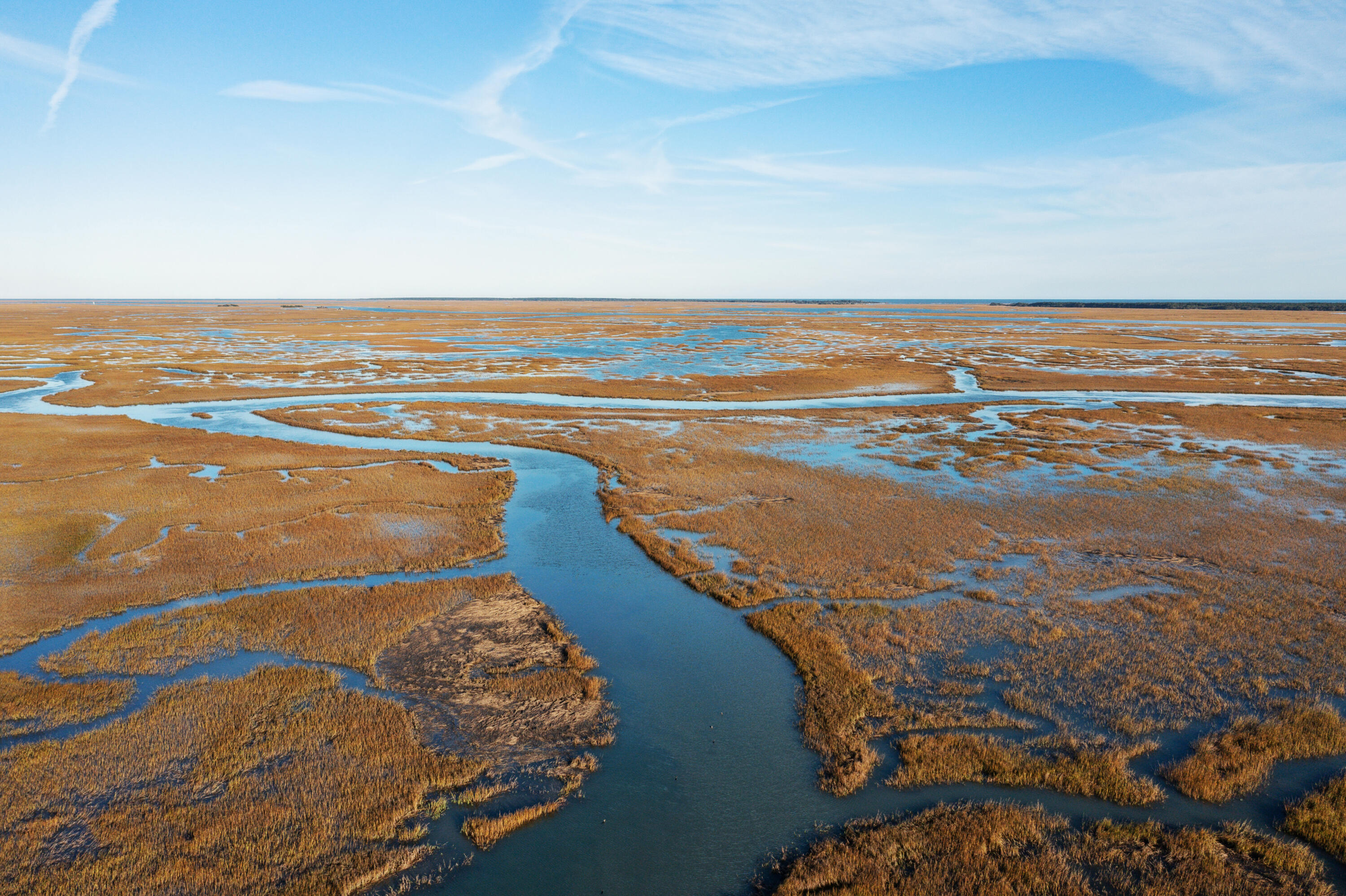 4169 Longmarsh Road Mount Pleasant, SC 29429 - Photo 97 of 98 Sewee Preserve 3