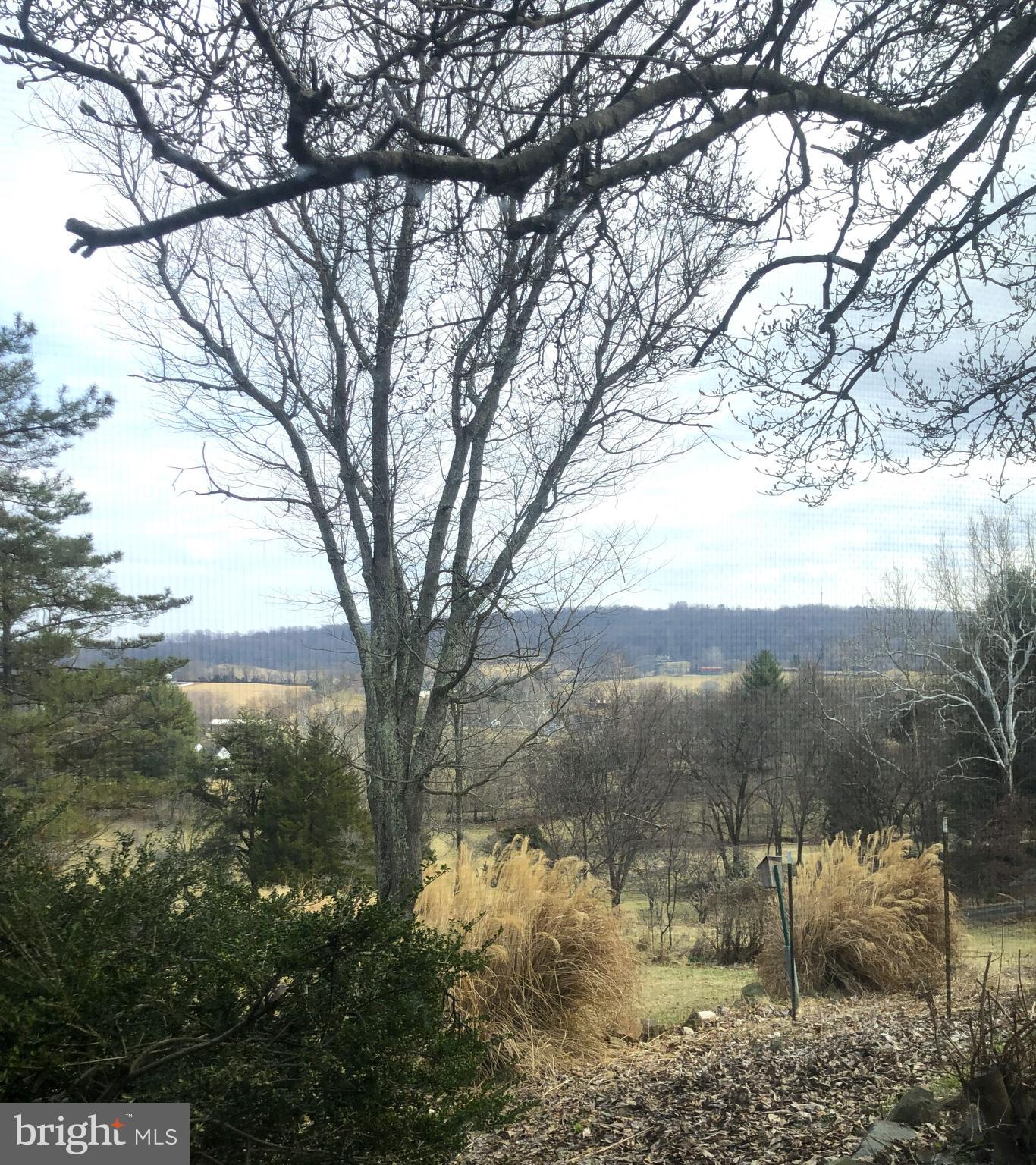 8376 Meadows Road, Unit COTTAGE Warrenton, VA 20186 - Photo 5 of 14 FANTASTIC VIEWS