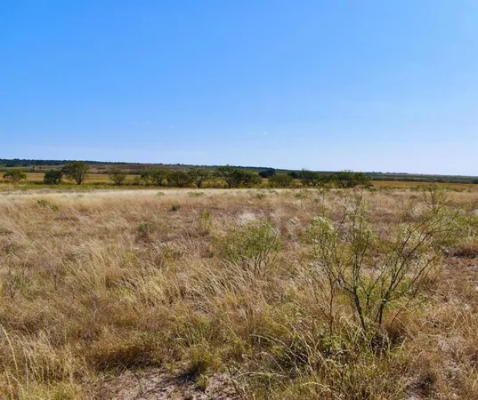$414,900 | 60 A Cr, Melvin, TX 76858