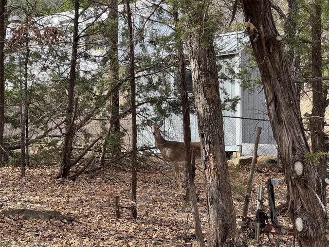 $1,450 | 160 Lake Point Drive, Gordon, TX 76453