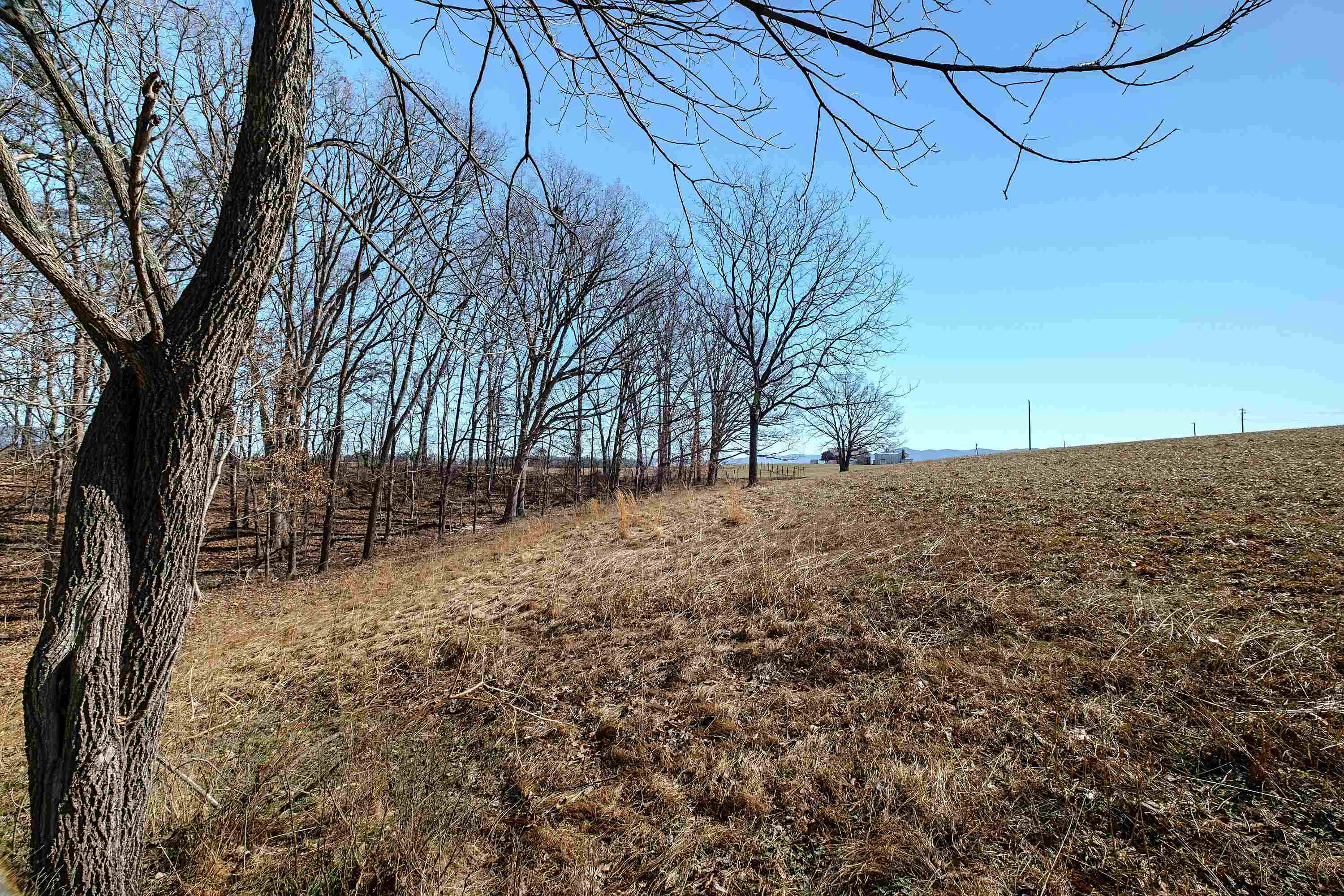 5.1-acres Timber Ridge Road East Mount Crawford, VA 22841 - Photo 18 of 19 a view of a yard with wooden fence