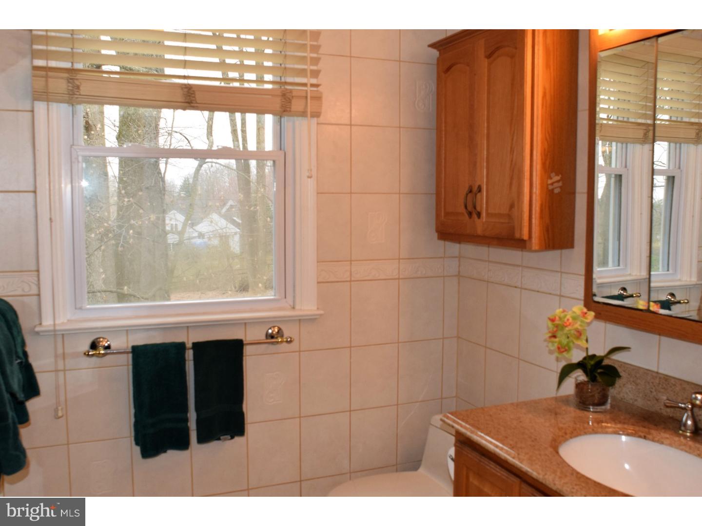 559 Cassatt Road Berwyn, PA 19312 - Photo 12 of 24 Bathroom