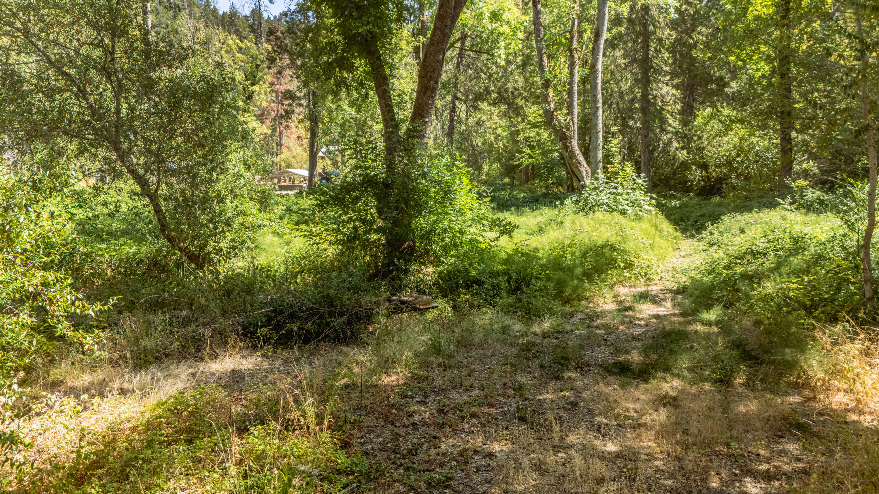 7354 Takilma Road Cave Junction, OR 97523 - Photo 24 of 30 a view of a yard