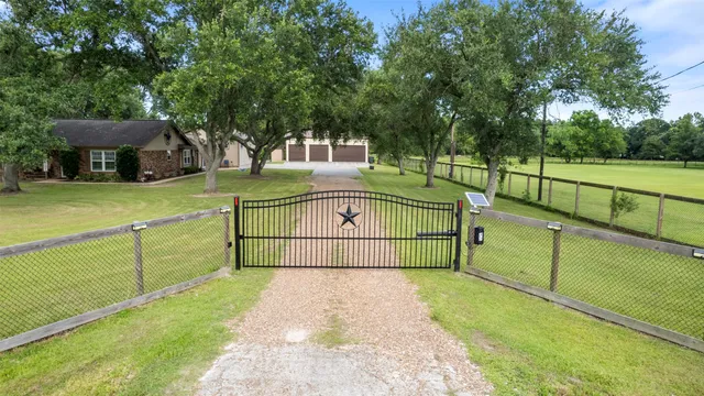 a view of a park with large trees