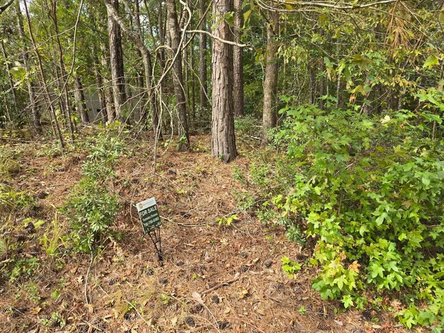 $65,000 | 23 Brassie Drive, McCormick, SC 29835