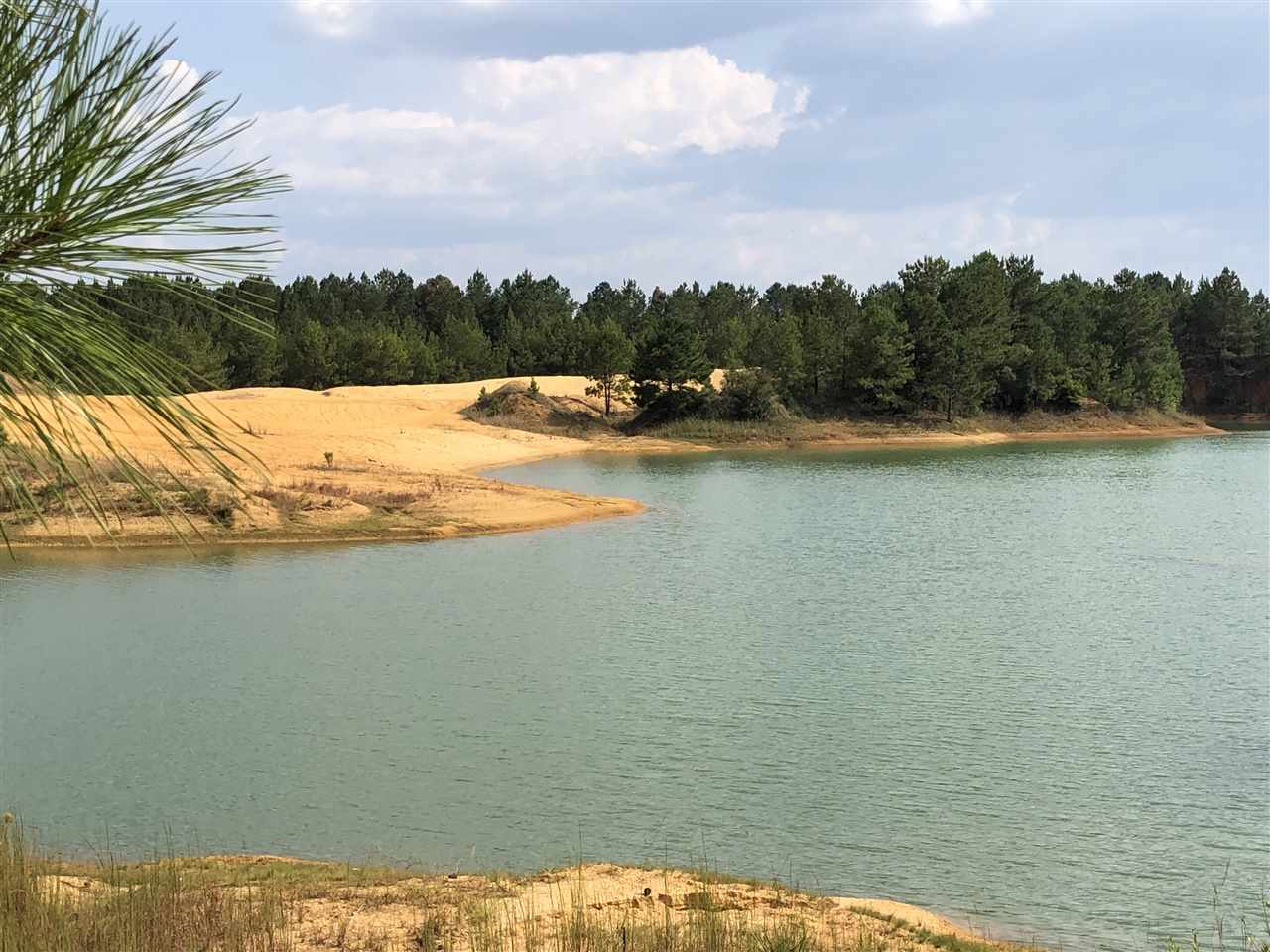 3 Ac /- Tower Road Uriah, AL 36480 - Photo 2 of 11 Gallery Image 2