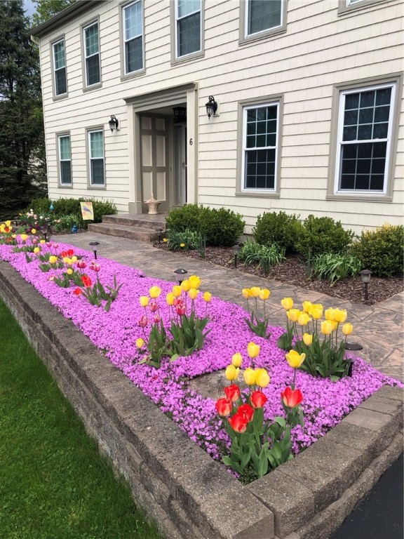 6 Walnut Hill Drive Spencerport, NY 14559 - Photo 4 of 49