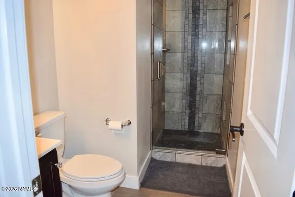 a bathroom with a shower and a toilet