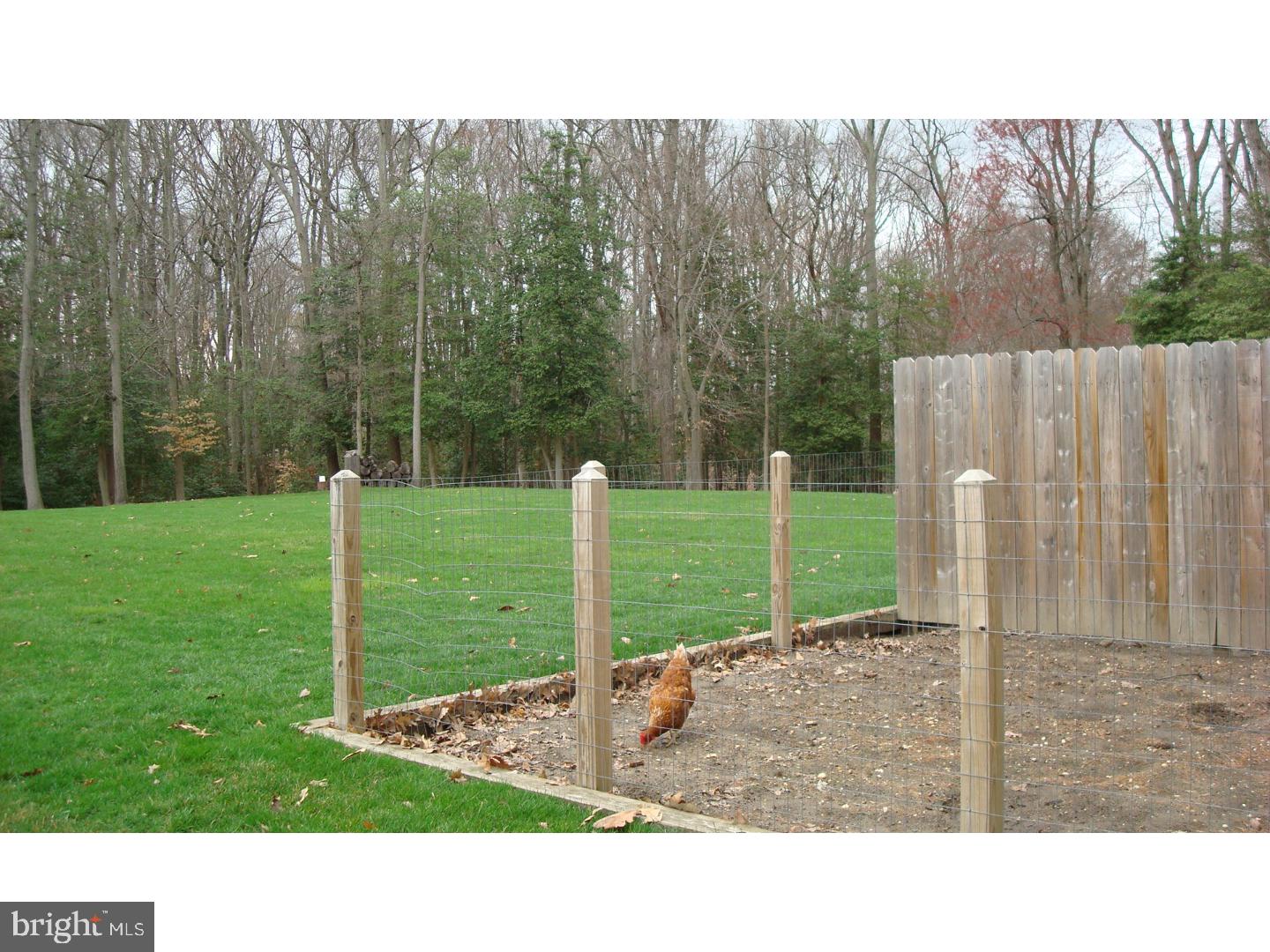 131 Chews Landing Road Clementon, NJ 08021 - Photo 7 of 22 Gallery Image 7