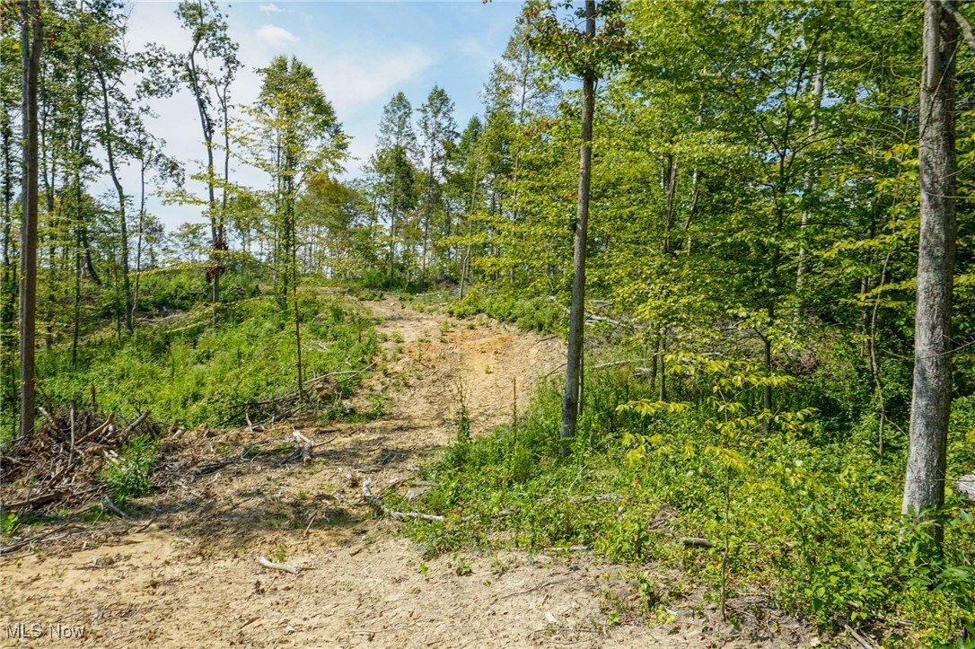 Blackfork Road Oak Hill, OH 45656 - Photo 18 of 24 View of landscape