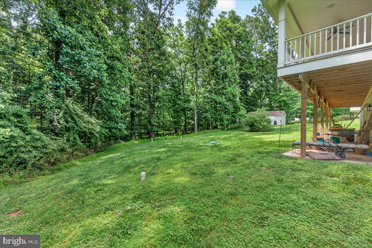 2516 Daisy Road Woodbine, MD 21797 - Photo 73 of 78 Serene backyard oasis in lush greenery.