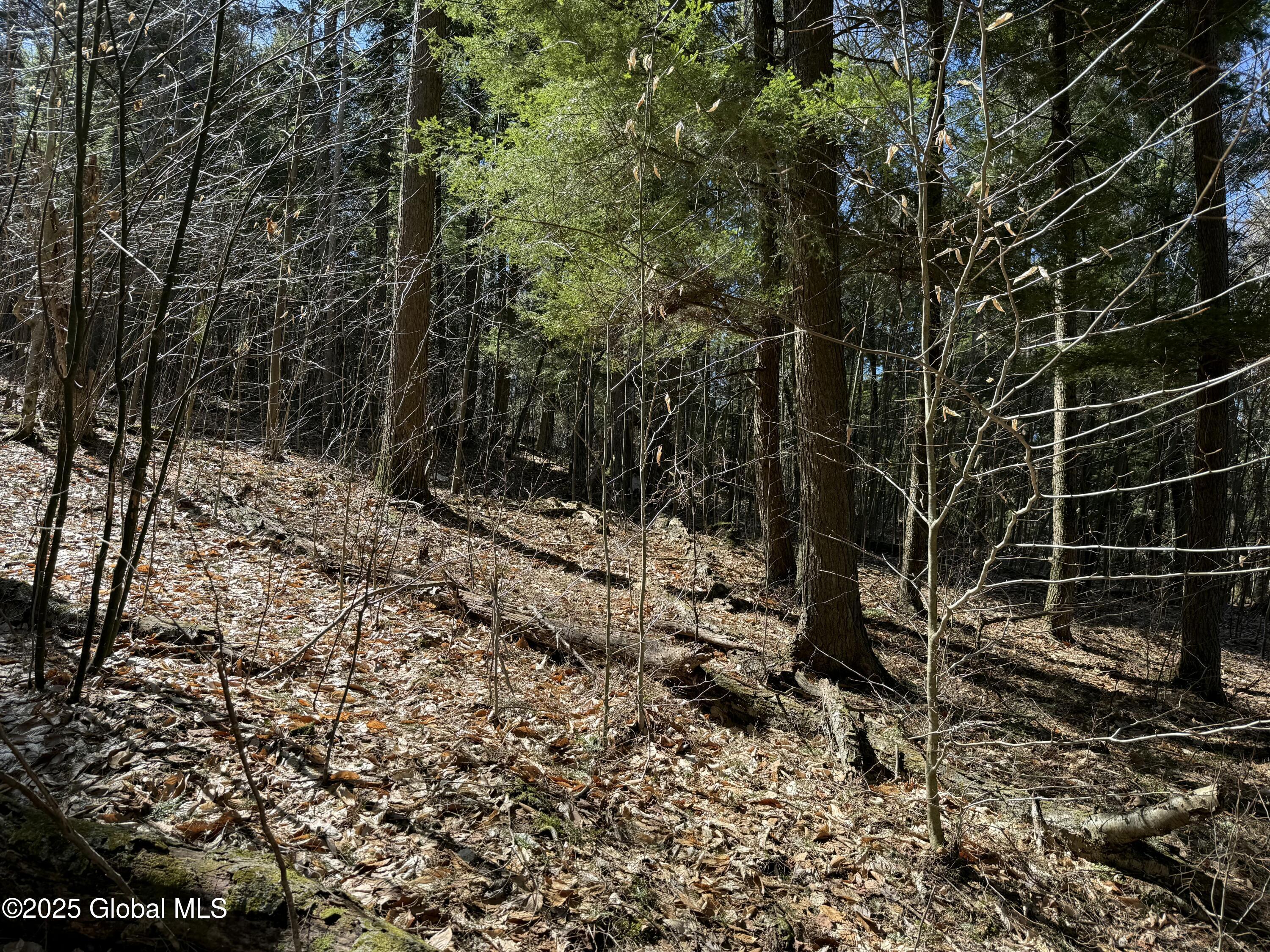 502 Howe Road Lake Luzerne, NY 12846 - Photo 21 of 23 tempImagehIYLBI