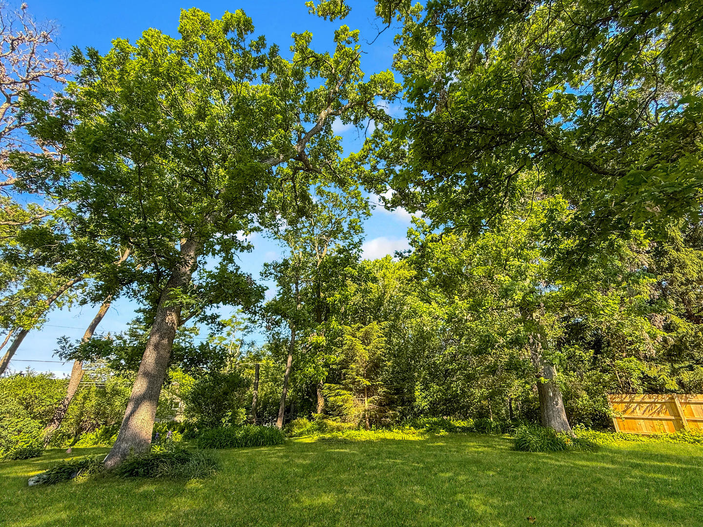 4705 Wild Cherry Road Crystal Lake, IL 60012 - Photo 29 of 34