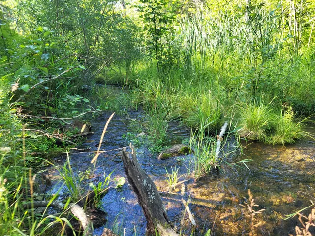 $8,250,000 | 100 West Adams Road, St. Louis, MI 48880