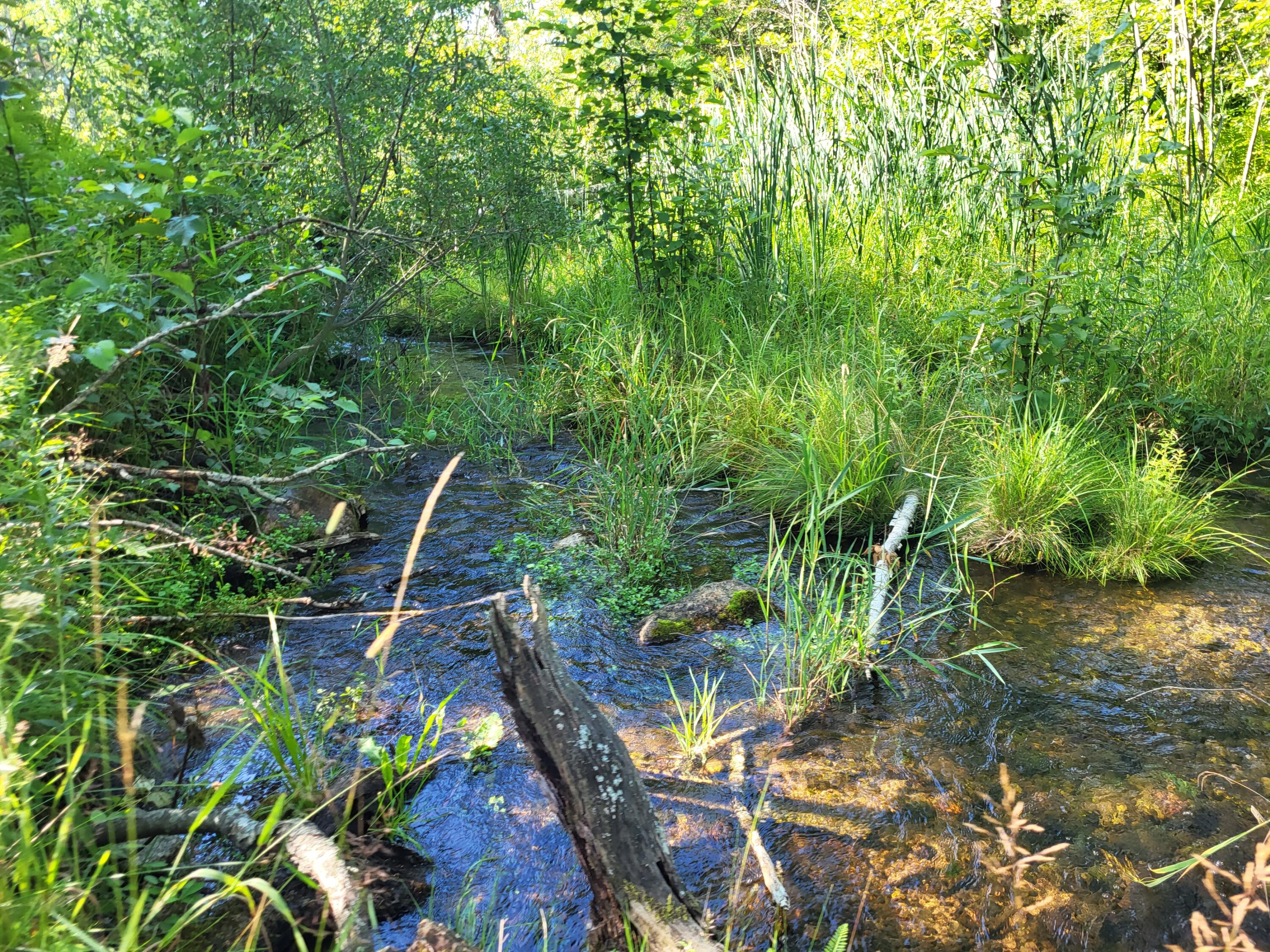 100 West Adams Road St. Louis, MI 48880 - Photo 23 of 48 20230803_101131