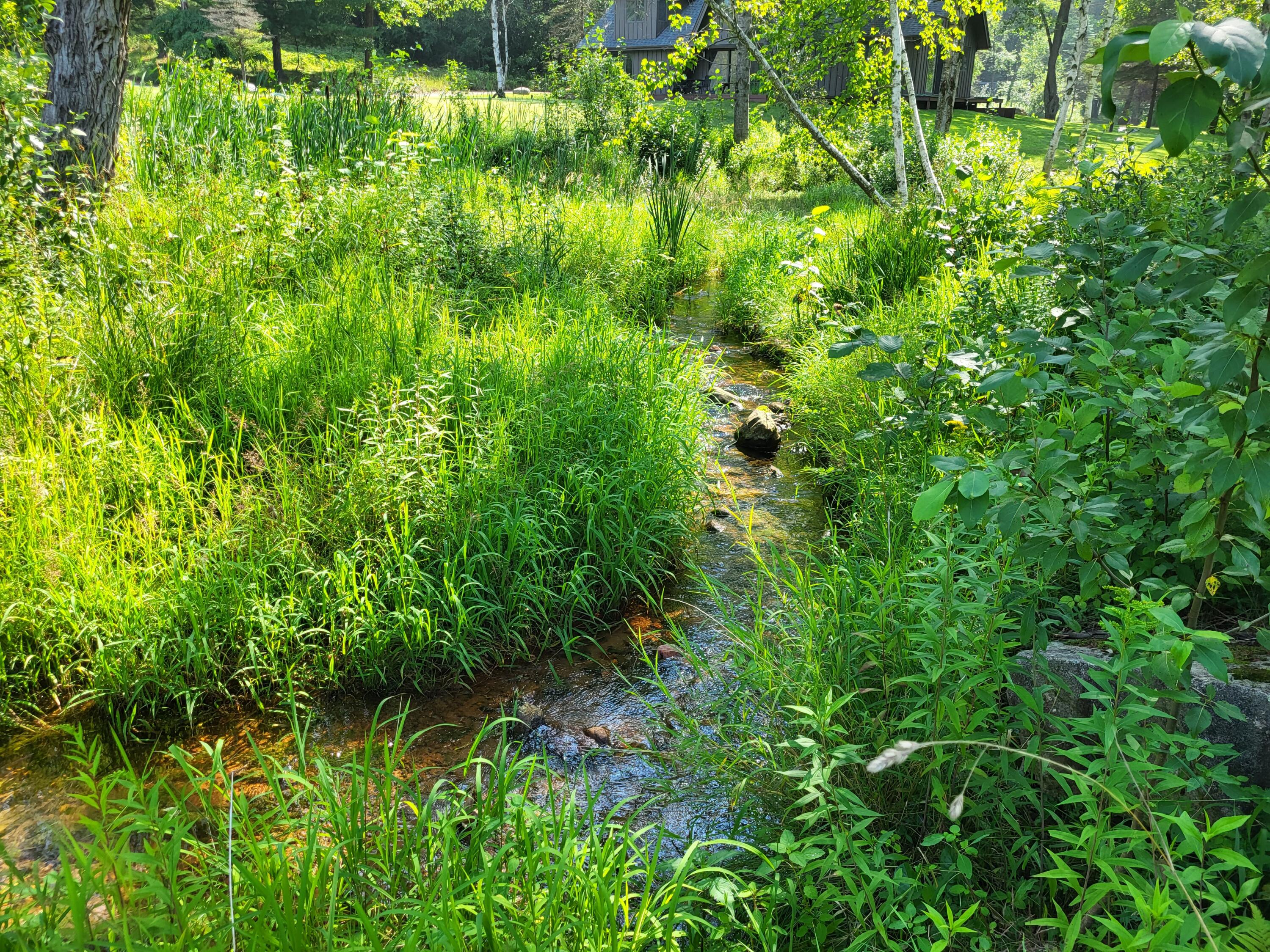 100 West Adams Road St. Louis, MI 48880 - Photo 25 of 48 20230727_105347