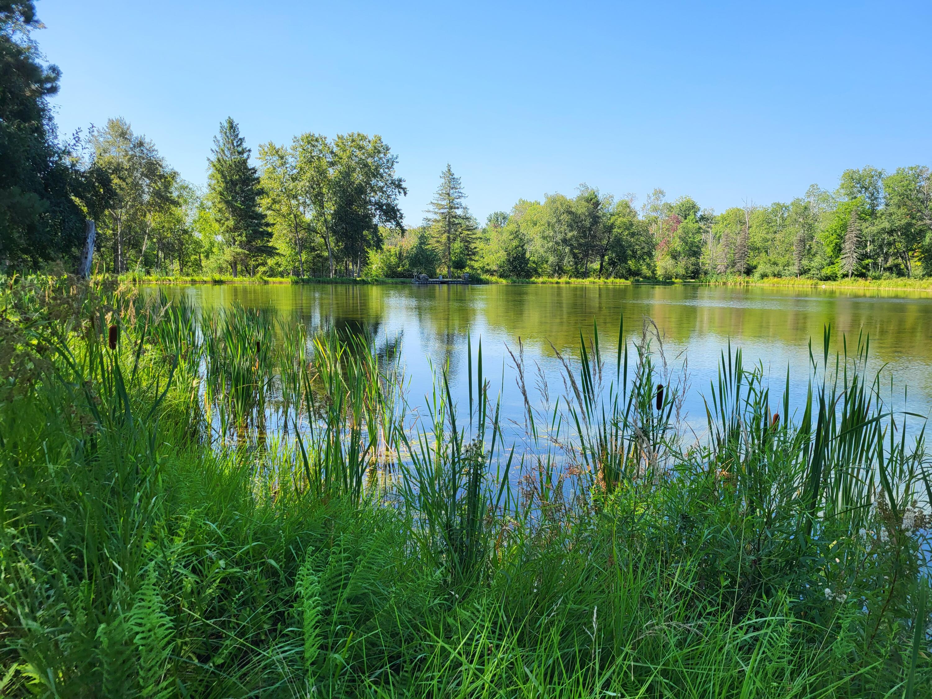 100 West Adams Road St. Louis, MI 48880 - Photo 30 of 48 20230803_104609