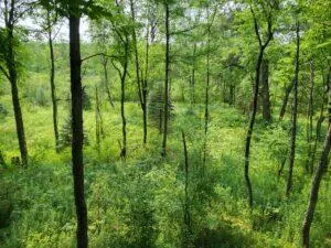 $8,250,000 | 100 West Adams Road, St. Louis, MI 48880