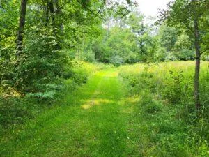 $8,250,000 | 100 West Adams Road, St. Louis, MI 48880