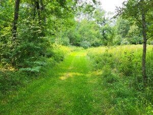 100 West Adams Road St. Louis, MI 48880 - Photo 39 of 48 C8