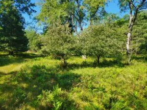 $7,700,000 | 100 West Adams Road, St. Louis, MI 48880