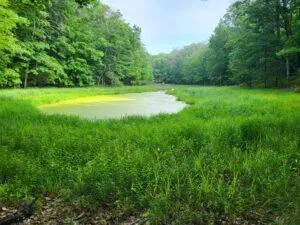 $7,700,000 | 100 West Adams Road, St. Louis, MI 48880