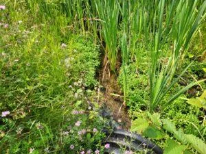 $8,250,000 | 100 West Adams Road, St. Louis, MI 48880