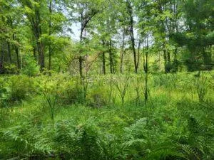 $8,250,000 | 100 West Adams Road, St. Louis, MI 48880