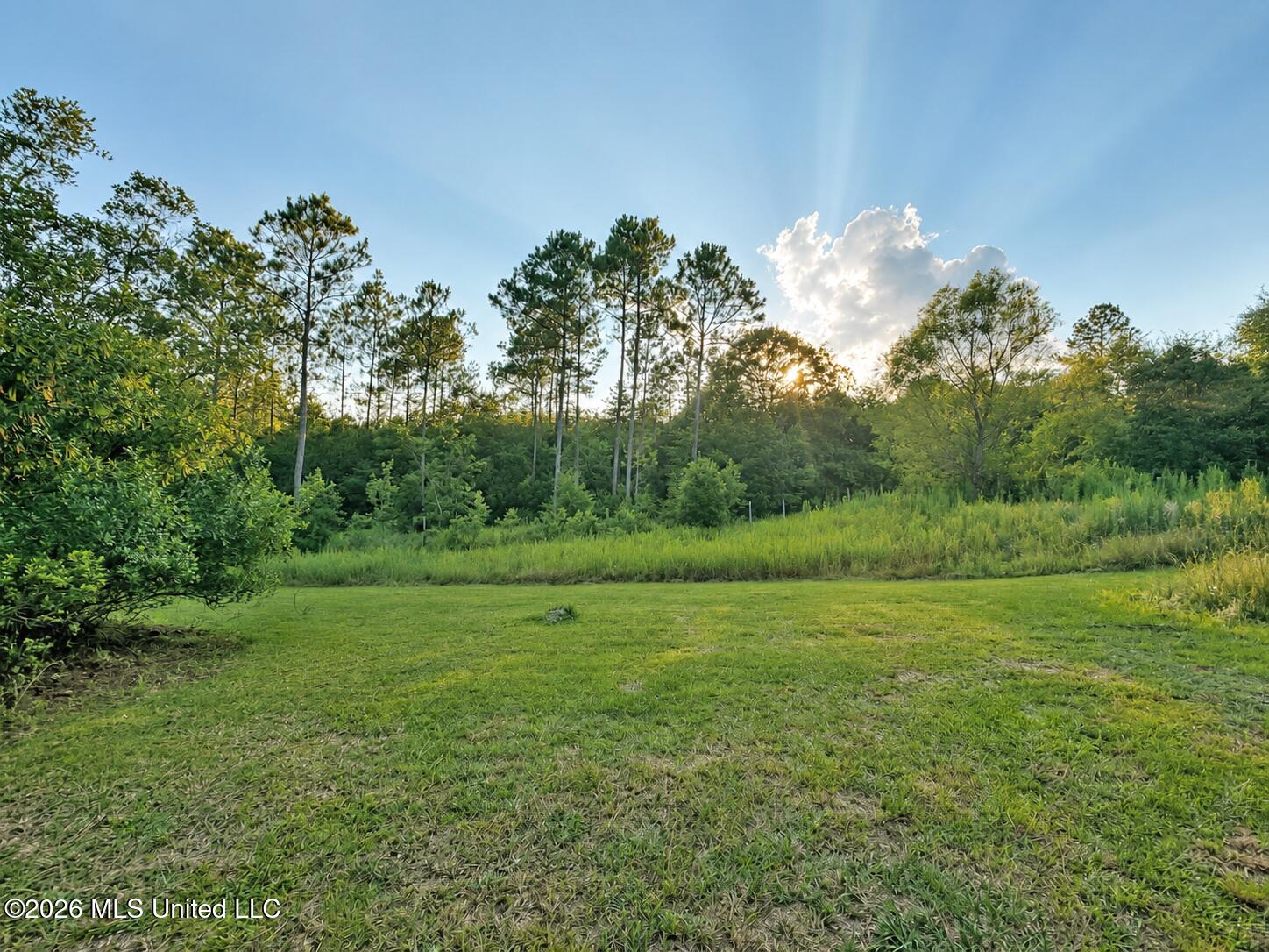 253 A Dean Nursery Road Lucedale, MS 39452 - Photo 19 of 22 1 (9)