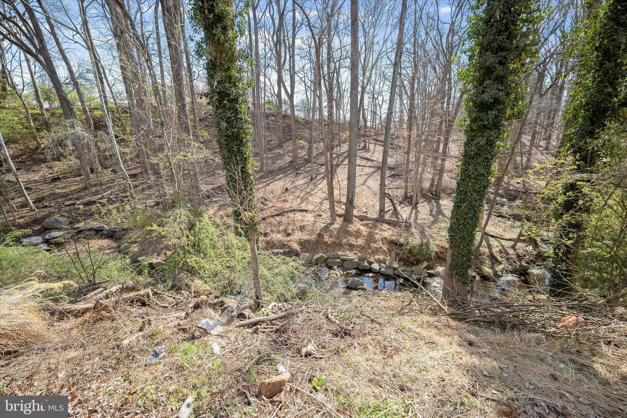 9720 Hedin Drive Silver Spring, MD 20903 - Photo 69 of 76 Hedin068