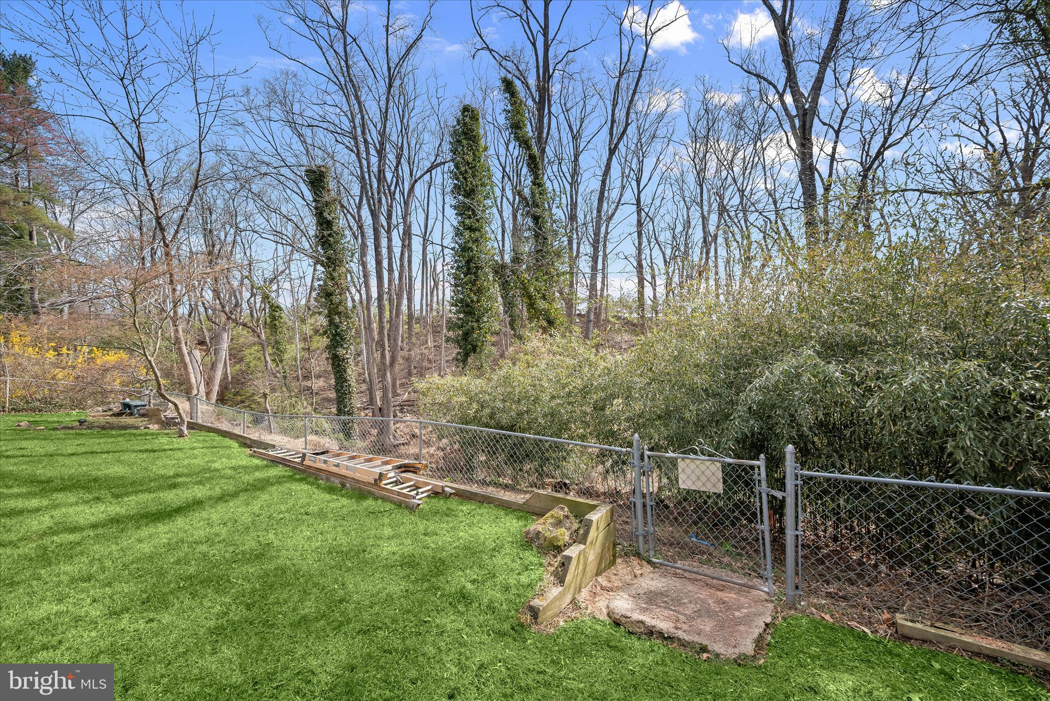 9720 Hedin Drive Silver Spring, MD 20903 - Photo 76 of 76 Hedin076