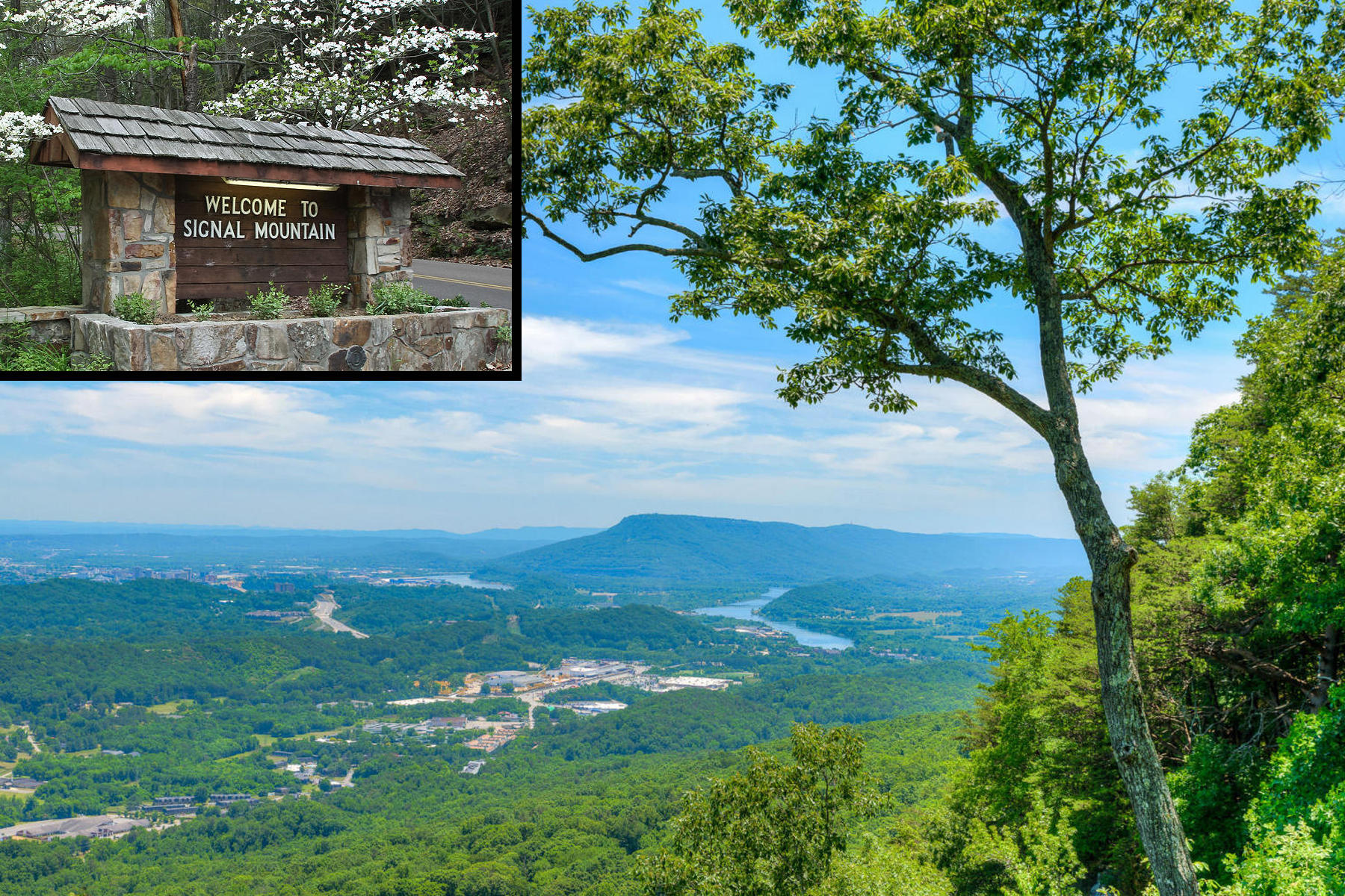 400 Gentlemens Ridge Signal Mountain, TN 37377 - Photo 58 of 73 Welcome to Signal Mtn