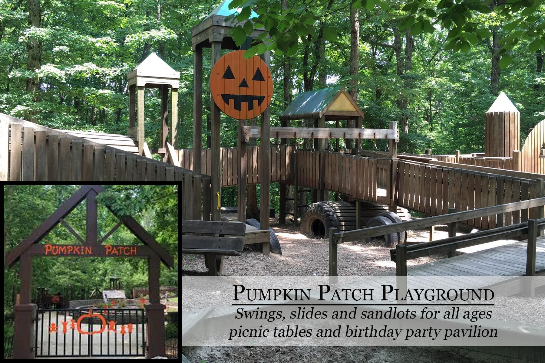 400 Gentlemens Ridge Signal Mountain, TN 37377 - Photo 60 of 73 Pumpkin Patch