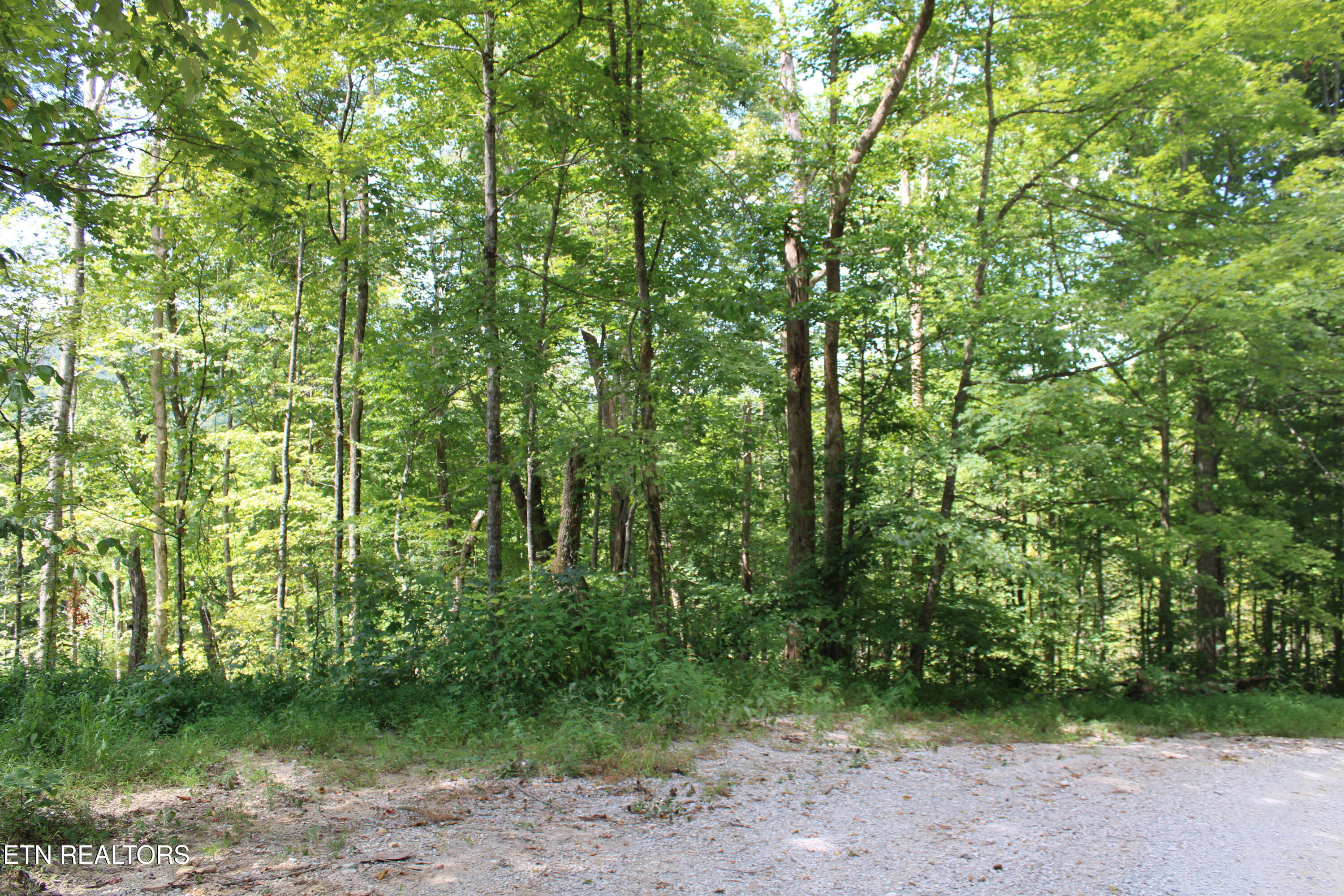 Manson Road Jamestown, TN 38556 - Photo 14 of 20 IMG_2057