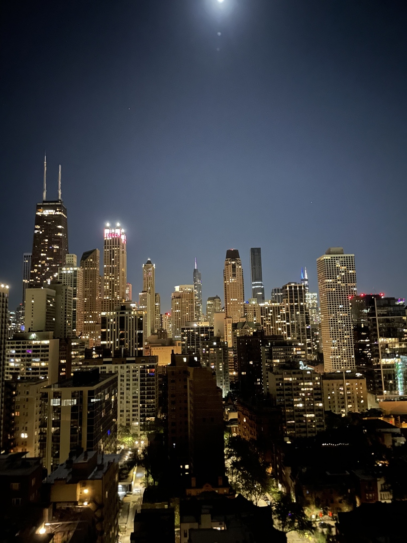 1310 North Ritchie Court, Unit 26C Chicago, IL 60610 - Photo 27 of 34 a city view