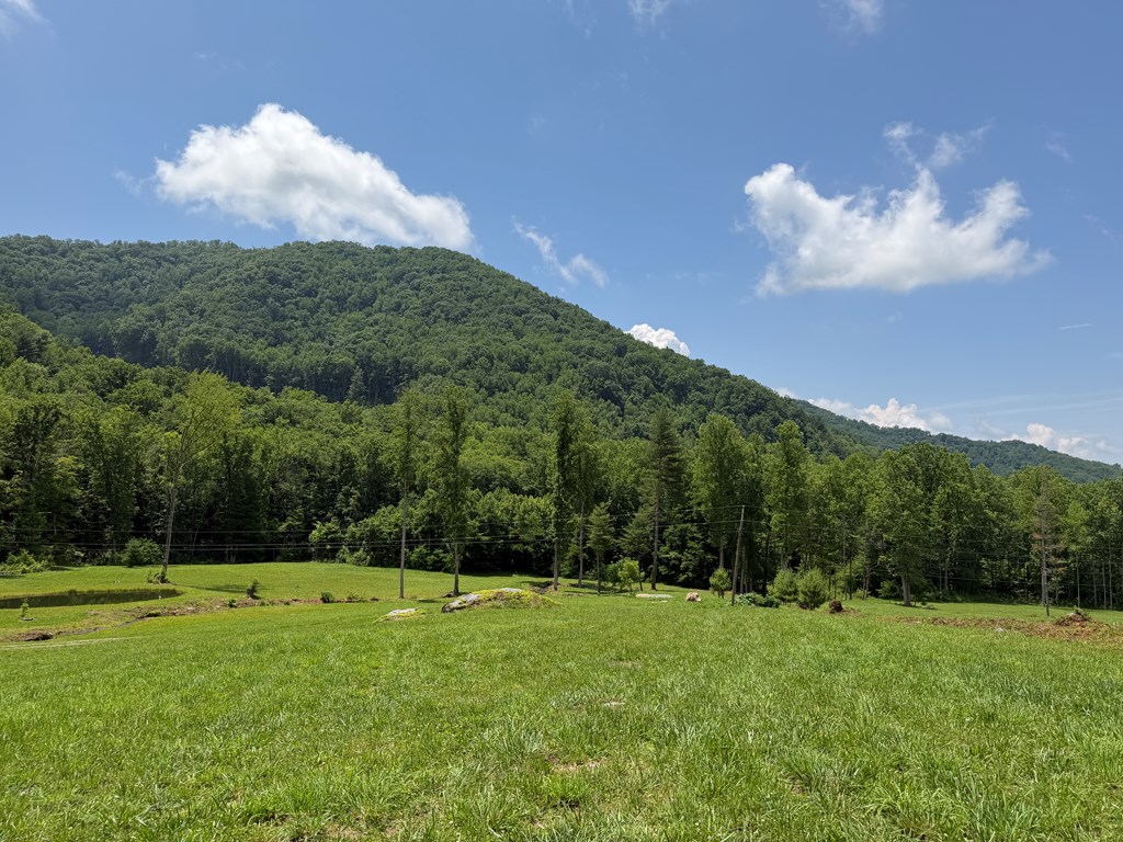 1446 Muskrat Creek Road Hayesville, NC 28904 - Photo 94 of 108