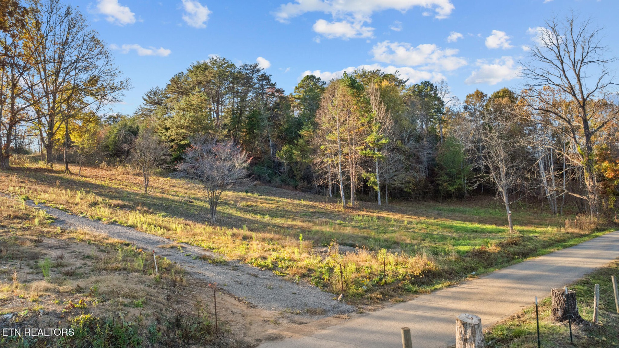 3 Rodgers Road Corryton, TN 37721 - Photo 4 of 16 a view of a swimming pool with a yard