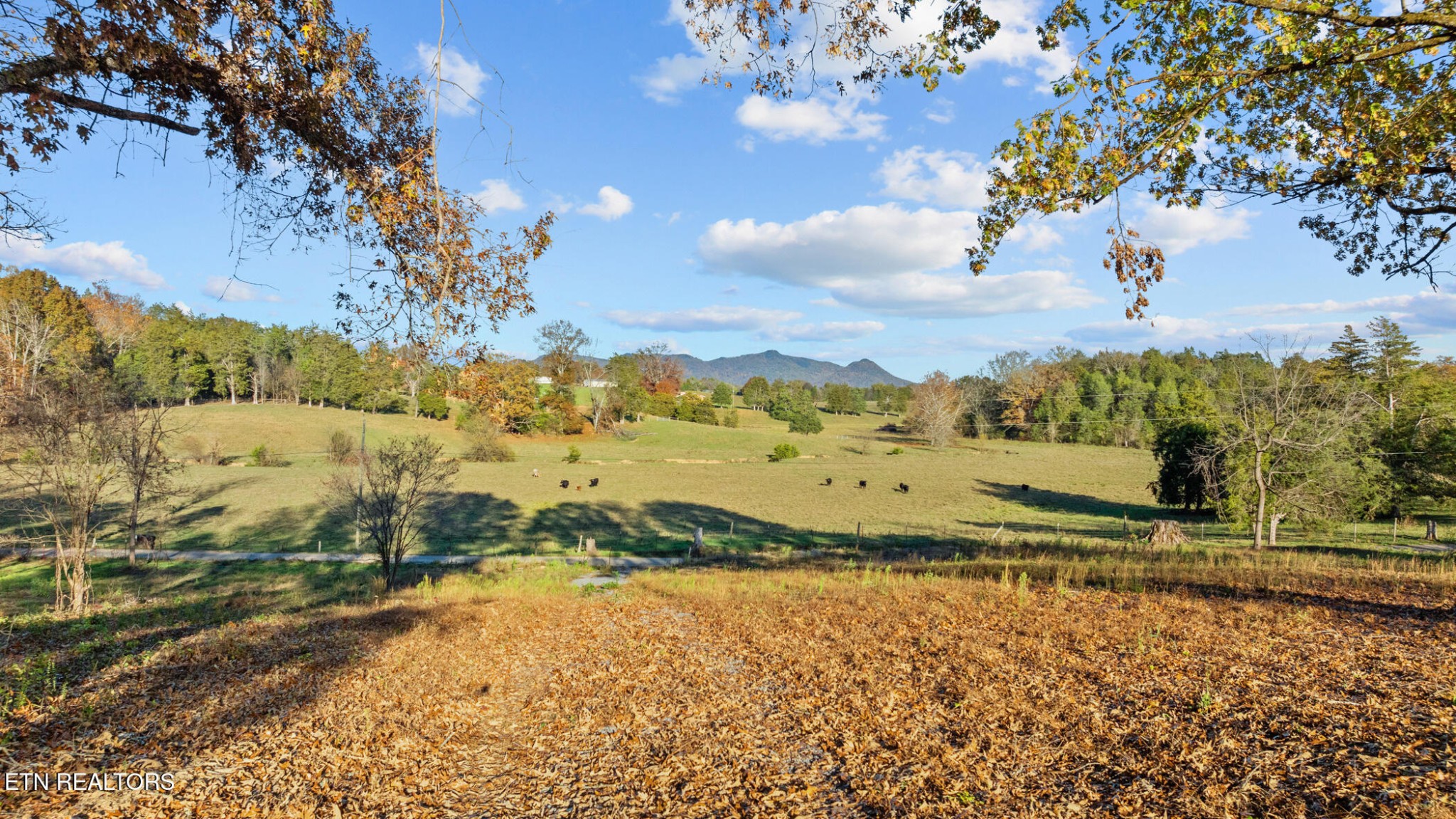 3 Rodgers Road Corryton, TN 37721 - Photo 6 of 16 a view of a lake with a beach