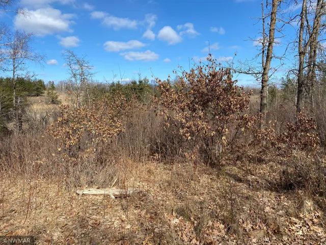 $29,900 | Tbd (l9-b2) Tbd (l9-b2) Goldfinch Lane Southwest, Bemidji, MN 56601