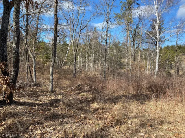 $29,900 | Tbd (l9-b2) Tbd (l9-b2) Goldfinch Lane Southwest, Bemidji, MN 56601