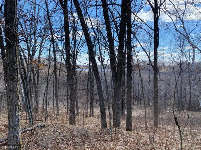 $29,900 | Tbd (l9-b2) Tbd (l9-b2) Goldfinch Lane Southwest, Bemidji, MN 56601