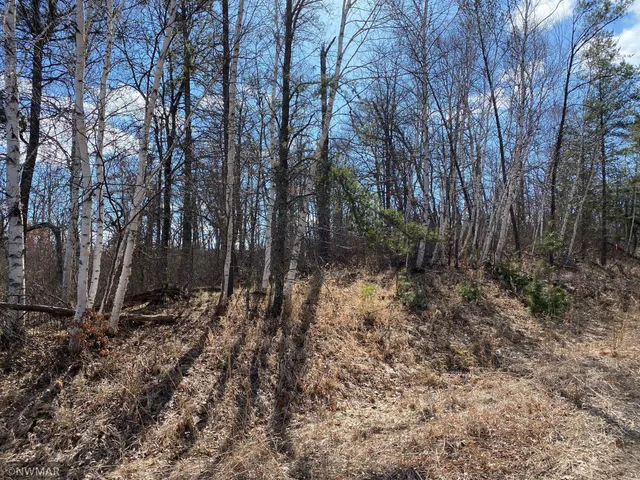 $29,900 | Tbd (l9-b2) Tbd (l9-b2) Goldfinch Lane Southwest, Bemidji, MN 56601